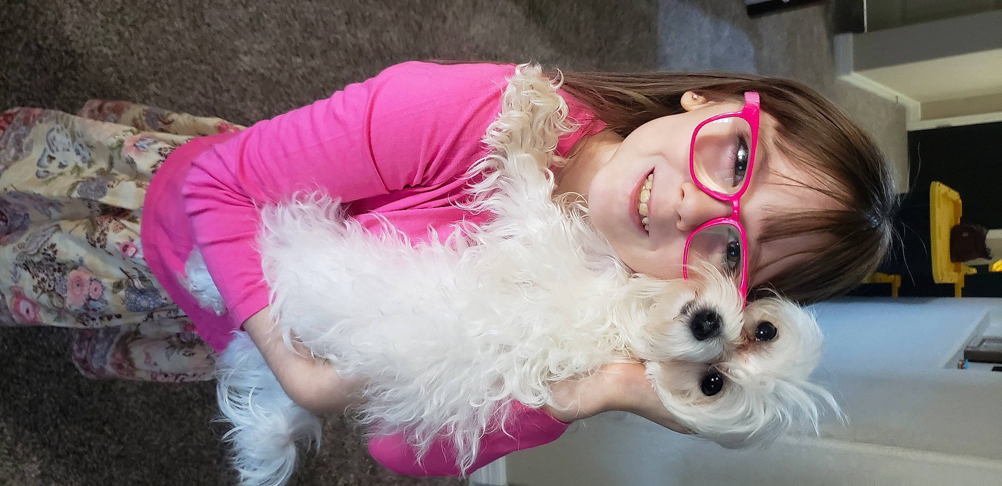Danika joined the competition — help win amazing prizes! bow_tie, carnivore, companion_dog, costume, dog, dog_breed, event, eyelash, eyewear, fashion_accessory, fawn, fur, happy, head, joy, magenta, person, pink, sunglasses, toy