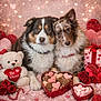 dog, valentines_day, heart_shaped_cookies, teddy_bear, roses, gift_box, red_ribbon, pink_background, fluffy_dog, cute, romantic, decorations, holiday, sweet, love, be_mine, pets, valentines_candy, heart_garland, cozy