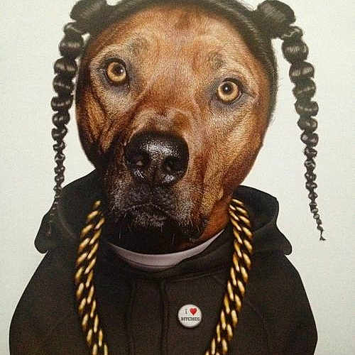 Snoop Dogg