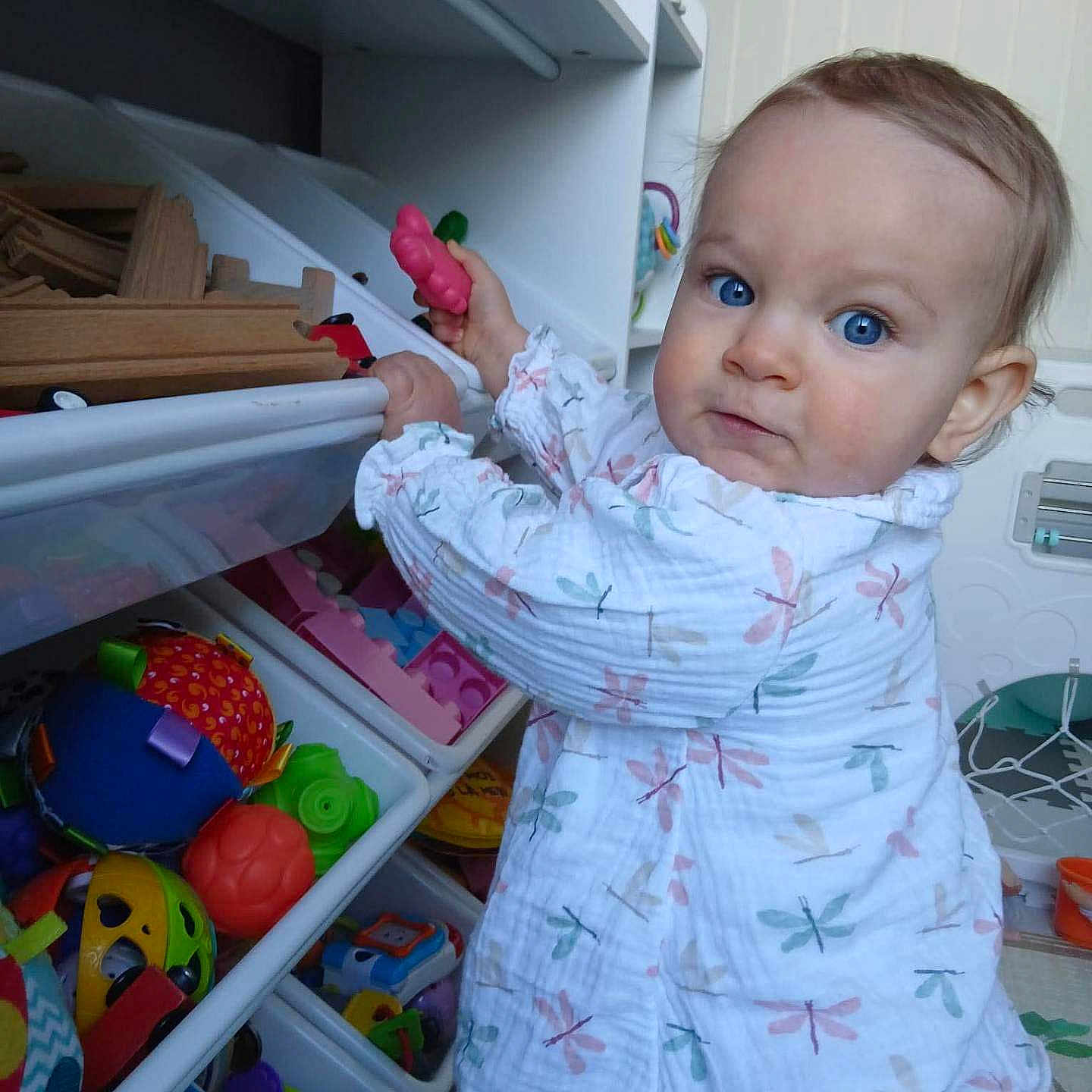 Siobane participe au concours pour gagner de l'argent avec cette photo : baby, child, blue_eyes, toys, toy_bins, playroom, shelf, clothing, dragonfly_pattern, curious, indoor, person, infant, colorful, rummaging, expression, play, young_child, candid, room