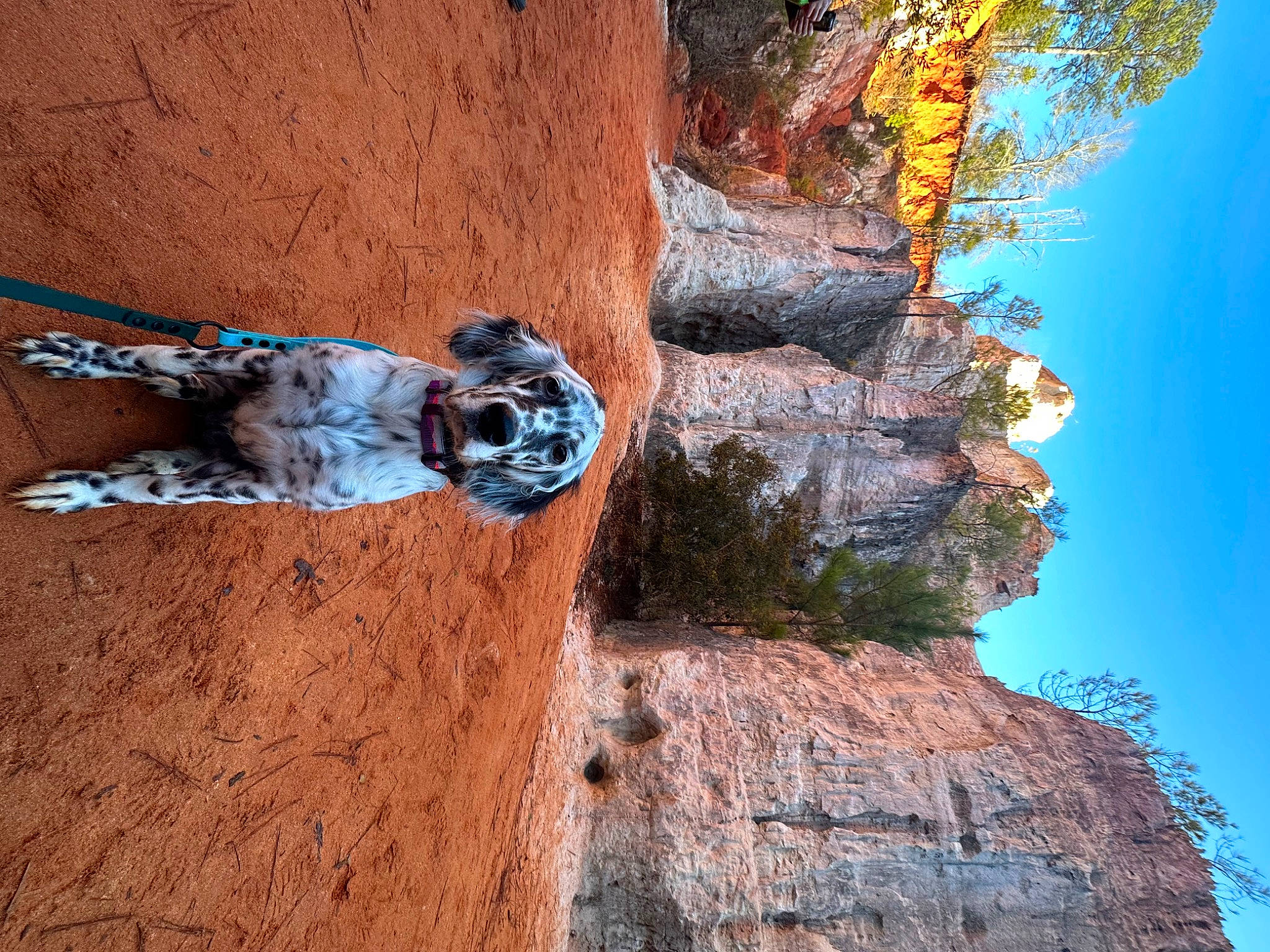 Link joined the competition — help win amazing prizes! azure, bedrock, climbing, fault, formation, geology, landscape, leisure, mountain, mountainous_landforms, outcrop, plant, recreation, rock, sky, soil, terrain, tree, trunk, wood