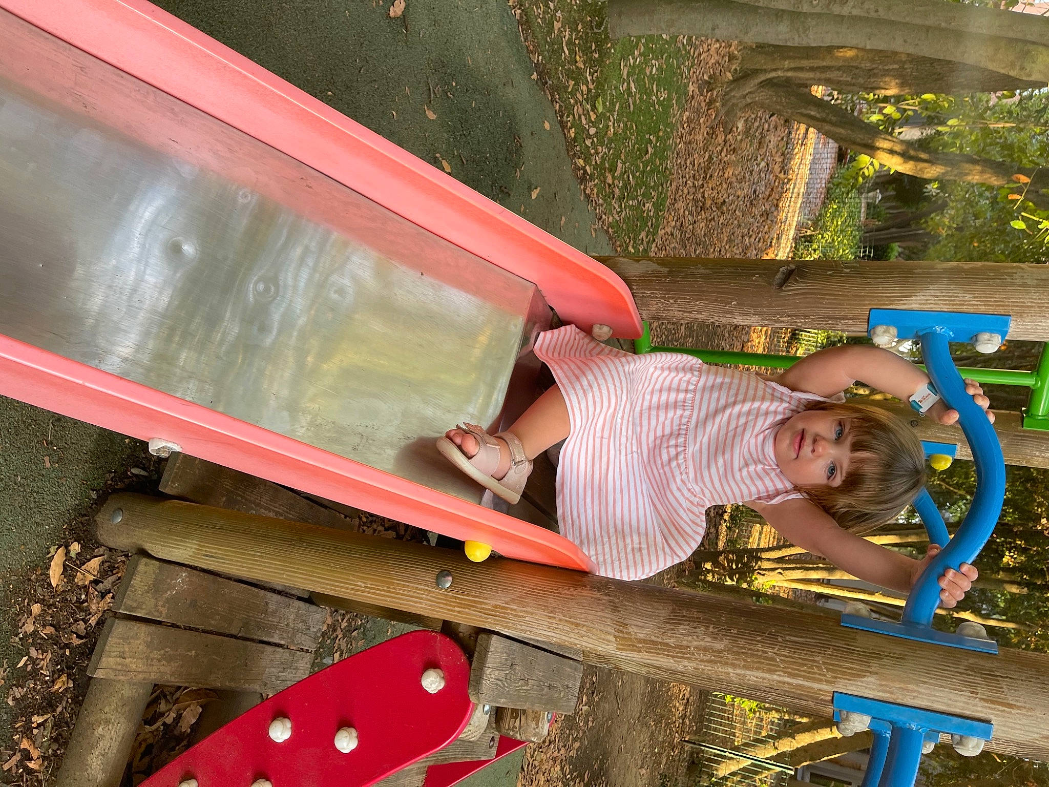 Ceiyana participe au concours pour gagner de l'argent avec cette photo : automotive_exterior, bumper, child, chute, city, fun, grass, green, leaf, leisure, outdoor_play_equipment, person, plant, play, recreation, soil, t_shirt, toddler, track, tree