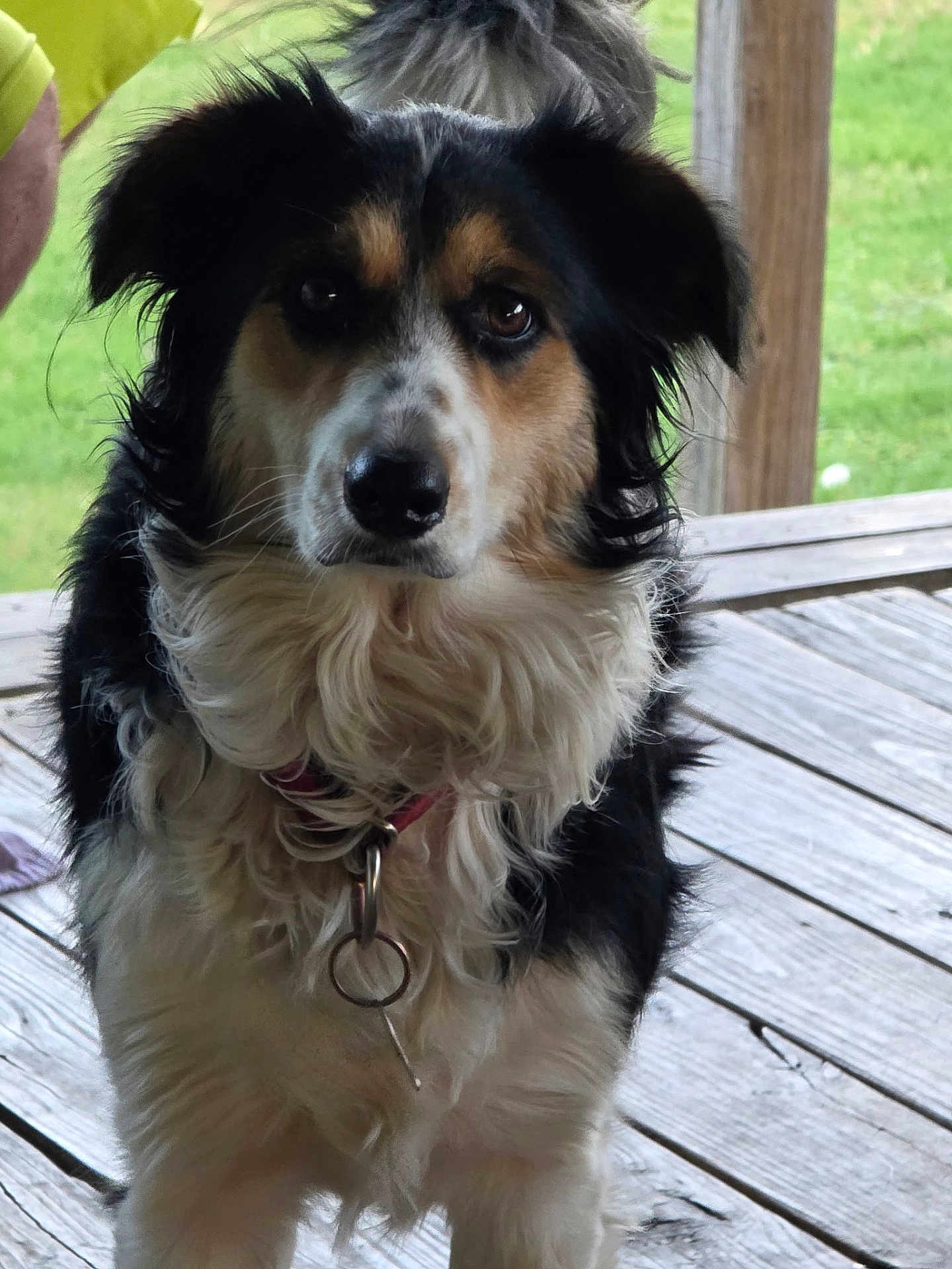 Chloe