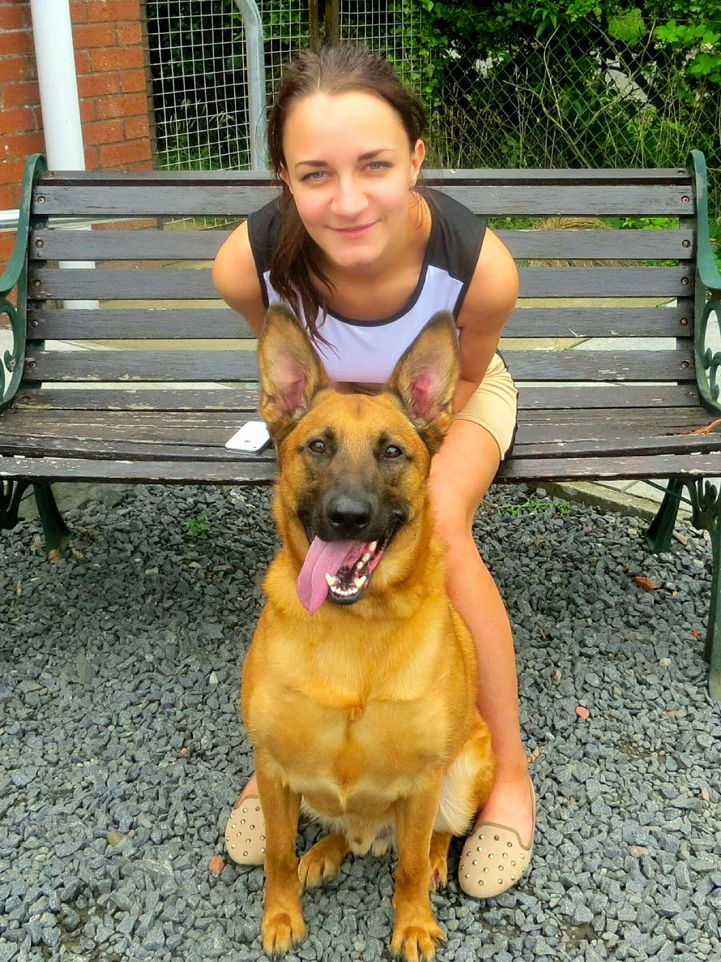 Marvin is registered to the contest to win money with this photo: bench, canidae, carnivore, companion_dog, dog, dog_breed, fawn, grass, guard_dog, happy, leisure, outdoor_bench, outdoor_furniture, paw, plant, smile, snout, sporting_group, vacation, working_dog