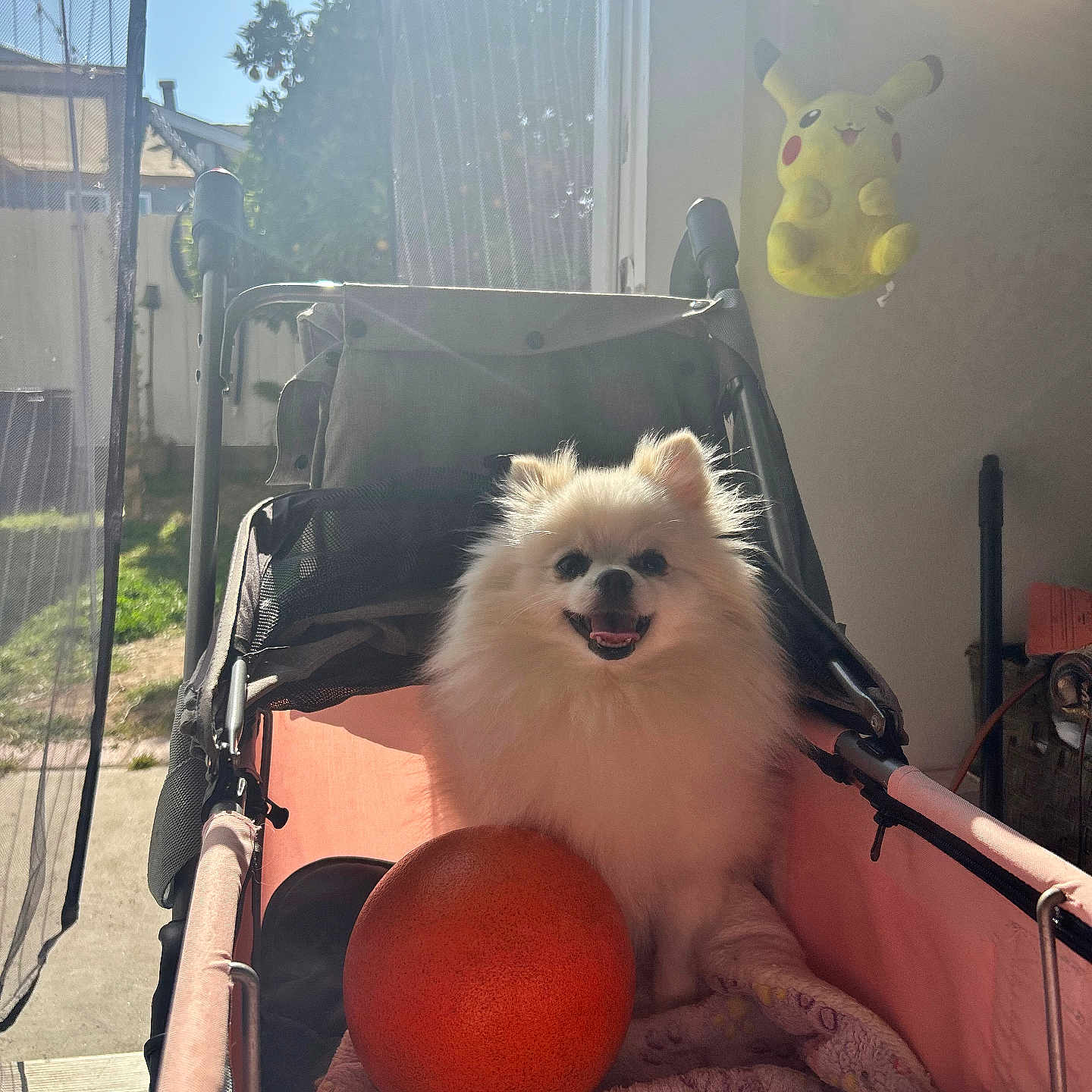Cosita