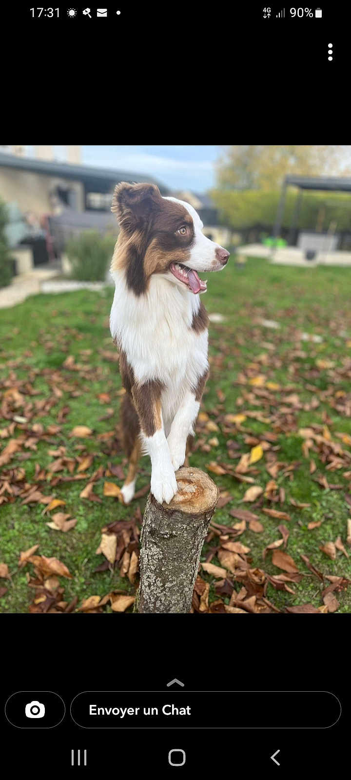 Simba