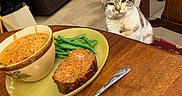 Jack N Jill joined the competition — help win amazing prizes! bowl, calico_cat, cat, chair, couch, curious_cat, dining, floor, food, fork, green_beans, indoor, meal, meatloaf, pet, soup, table, tile_floor, towel, wooden_table