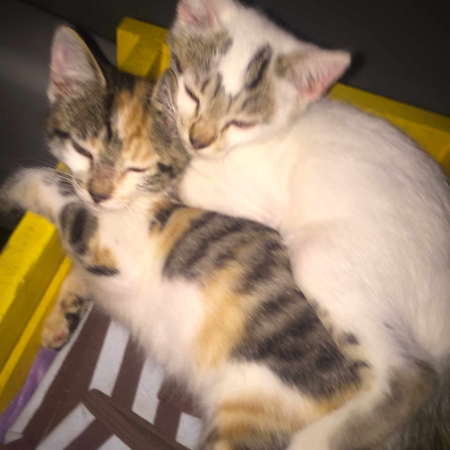 Jack N Jill