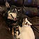 Zip