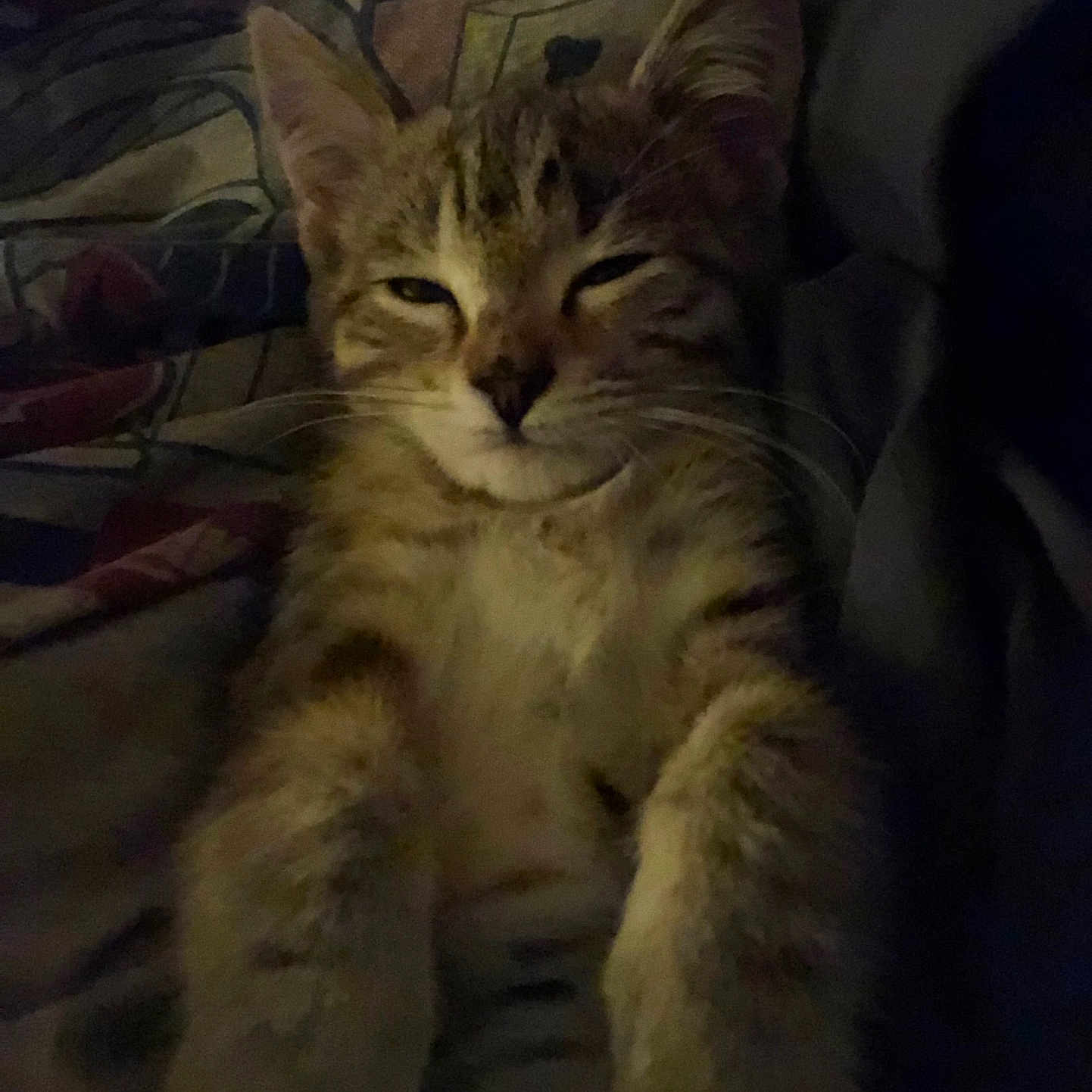 Clementine