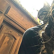 Unicorn joined the competition — help win amazing prizes! cat, tabby_cat, countertop, granite, wooden_cabinet, kitchen, person, braid, hair, shoulder, curious, indoor, light, bright, furniture, pet, animal, domestic, candid, home