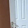 Neo joined the competition — help win amazing prizes! animal, cat, curiosity, curious, domestic_cat, door, door_handle, feline, floor, hind_legs, home, indoor, light_shadow, pet, reaching, standing, tabby_cat, trying, vertical, white_door
