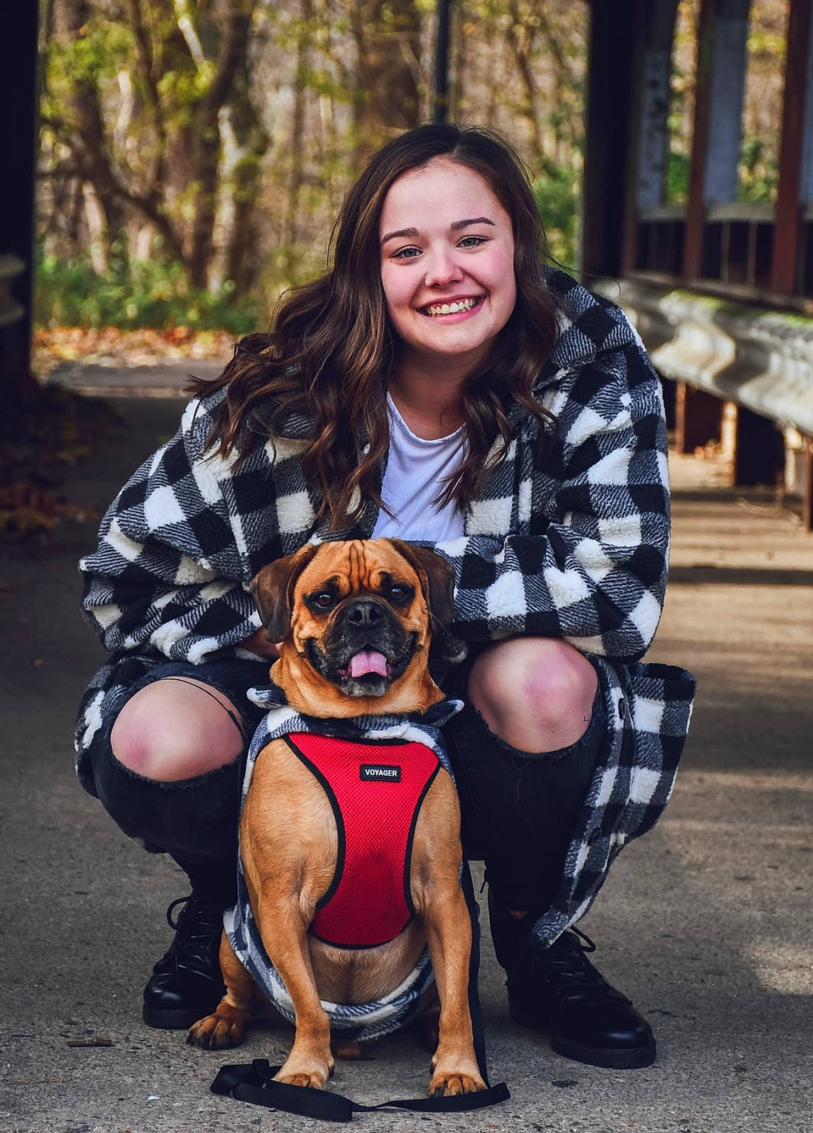 Viktor joined the competition — help win amazing prizes! carnivore, companion_dog, dog, dog_breed, dress, fawn, footwear, fun, happy, leg, leisure, pattern, plaid, shoe, smile, sneakers, sporting_group, sunglasses, thigh, tree