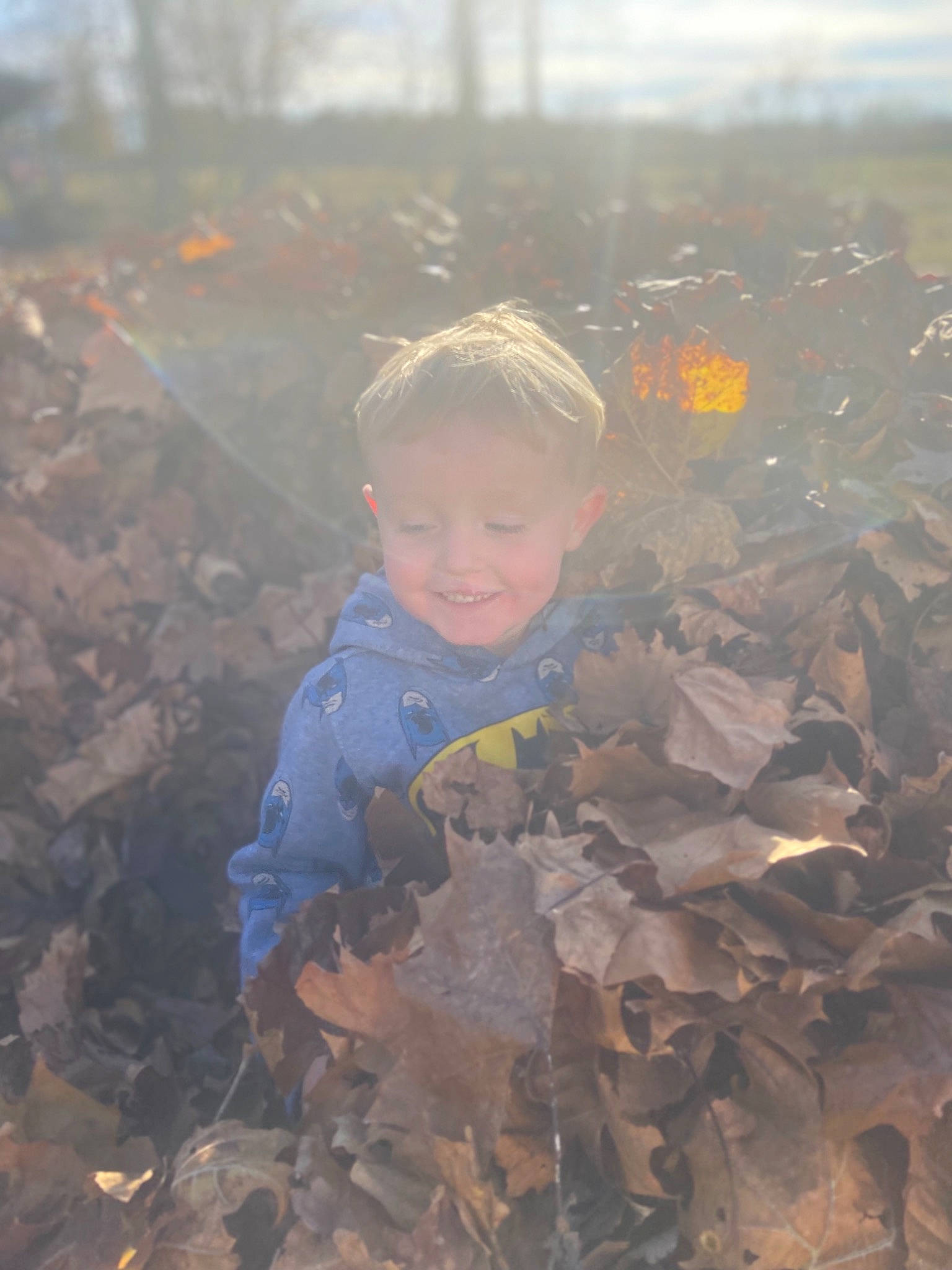 Axton is registered to the contest to win money with this photo: atmospheric_phenomenon, deciduous, fun, geological_phenomenon, grass, happy, joy, landscape, nature, people_in_nature, person, pollution, rock, soil, spring, sunlight, tints_and_shades, toddler, tree, vertebrate