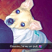 Marley participe au concours pour gagner de l'argent avec cette photo :