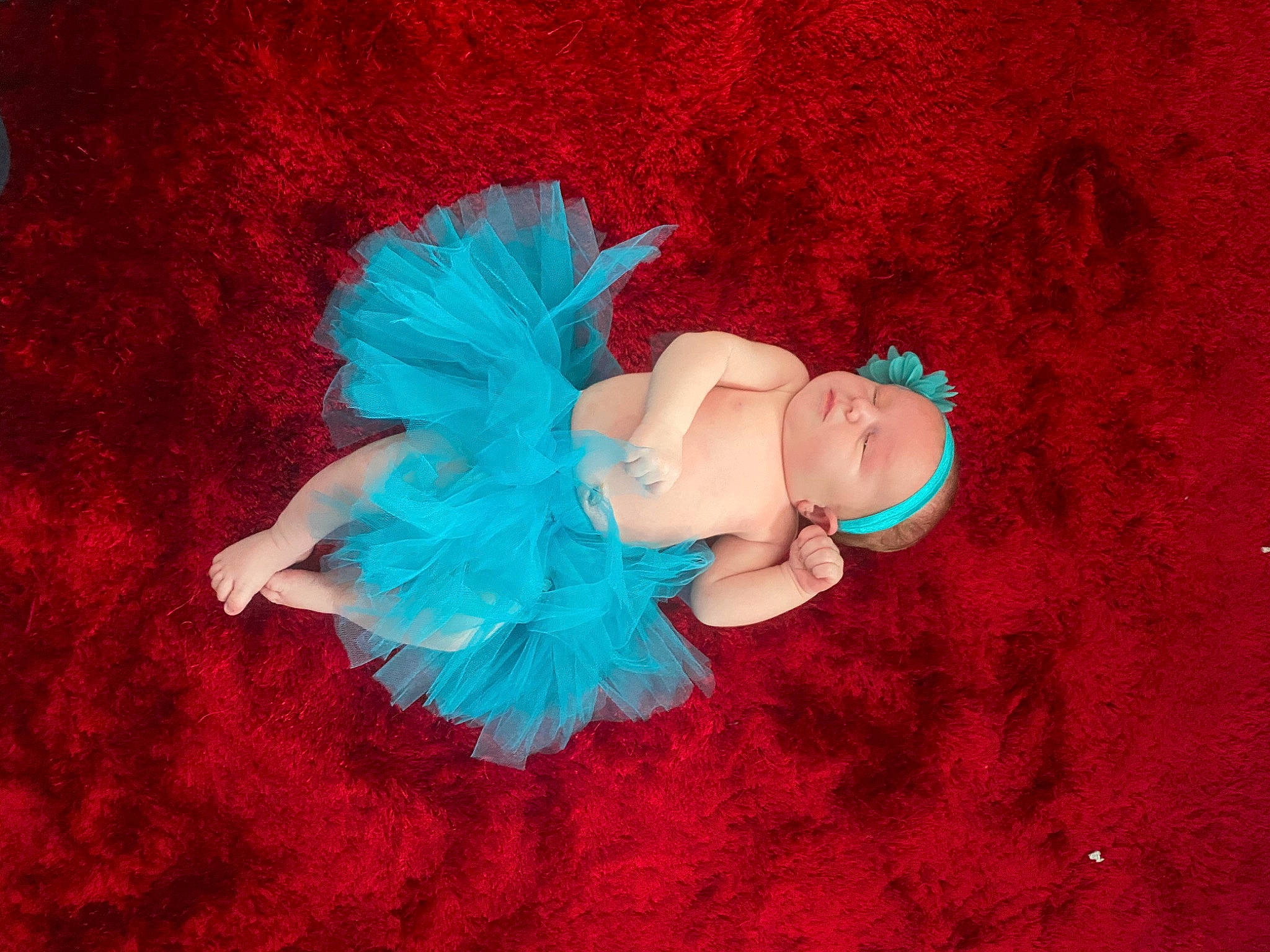 Maïwenn participe au concours pour gagner de l'argent avec cette photo : ballet_tutu, blue, costume, costume_accessory, fur, person, pink, turquoise