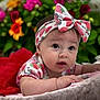 Anyelina Antonella joined the competition — help win amazing prizes! baby, child, headband, bow, flower, floral_background, toddler, cute, portrait, soft_fur, pink, red, green, garden, infant, closeup, person, clothing, lying_down, adorable