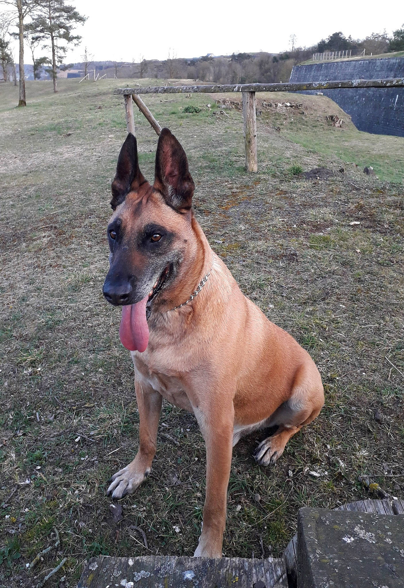 Jitou