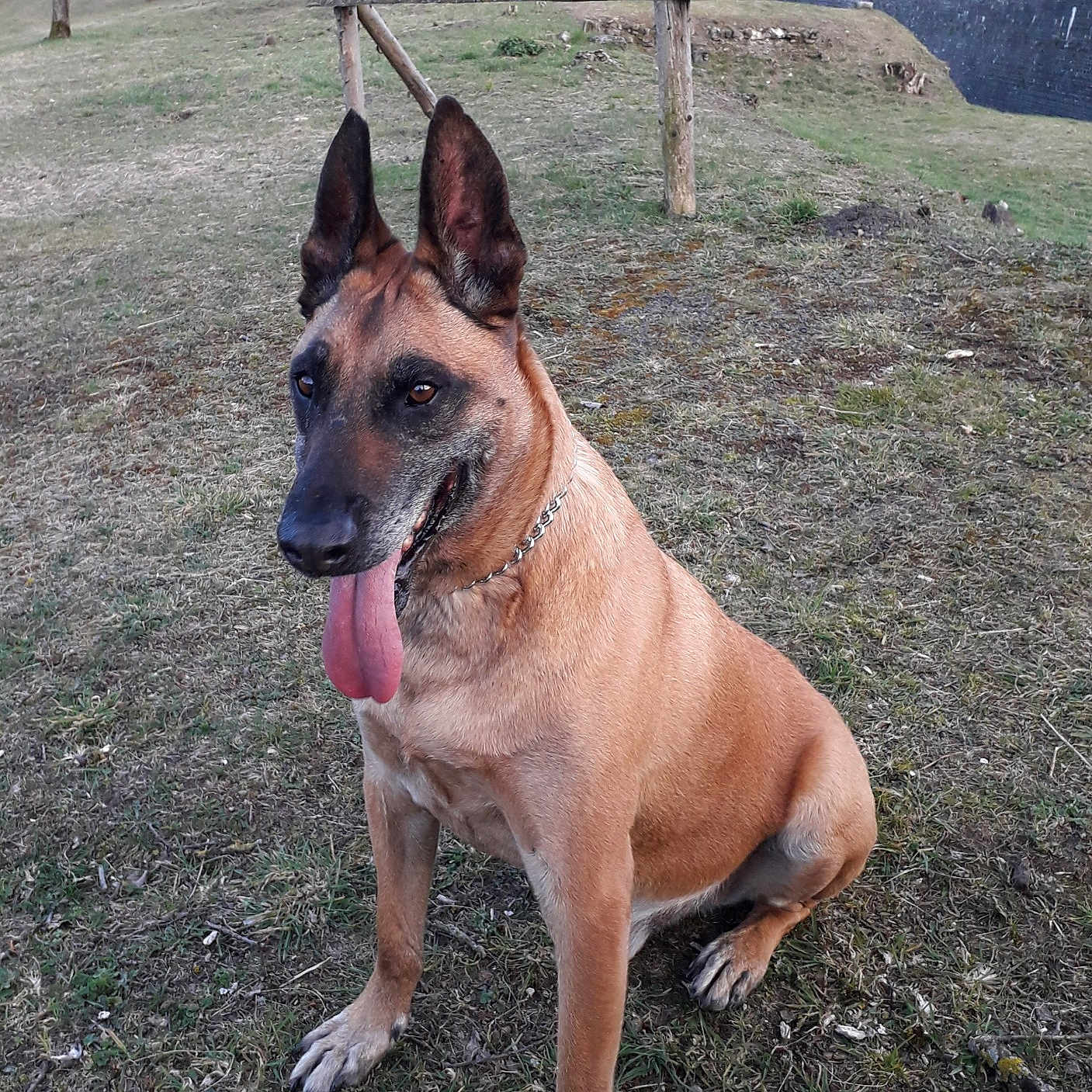 Jitou