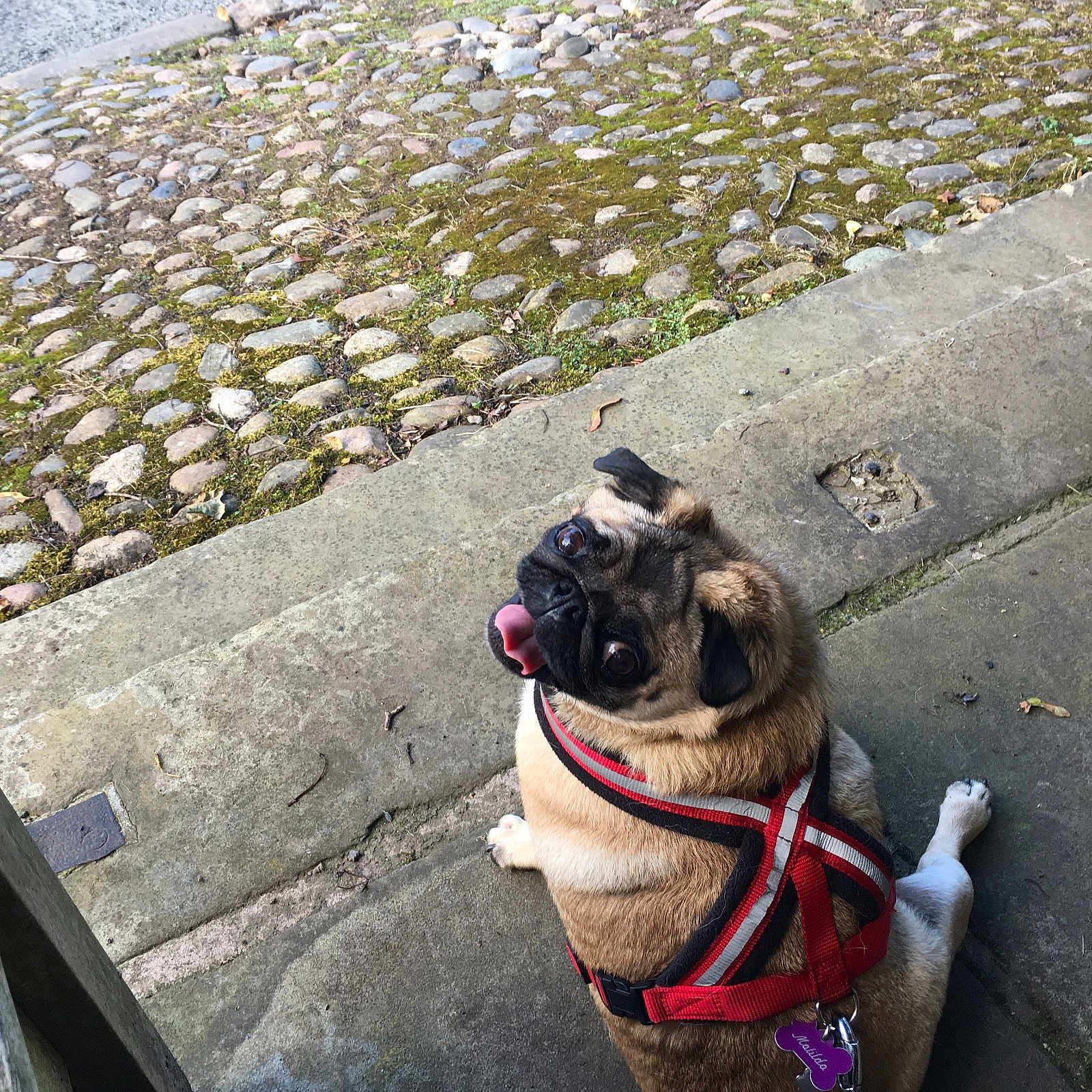 Matilda is registered to the contest to win money with this photo: