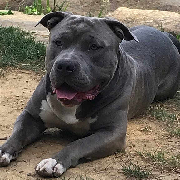 Bronx
