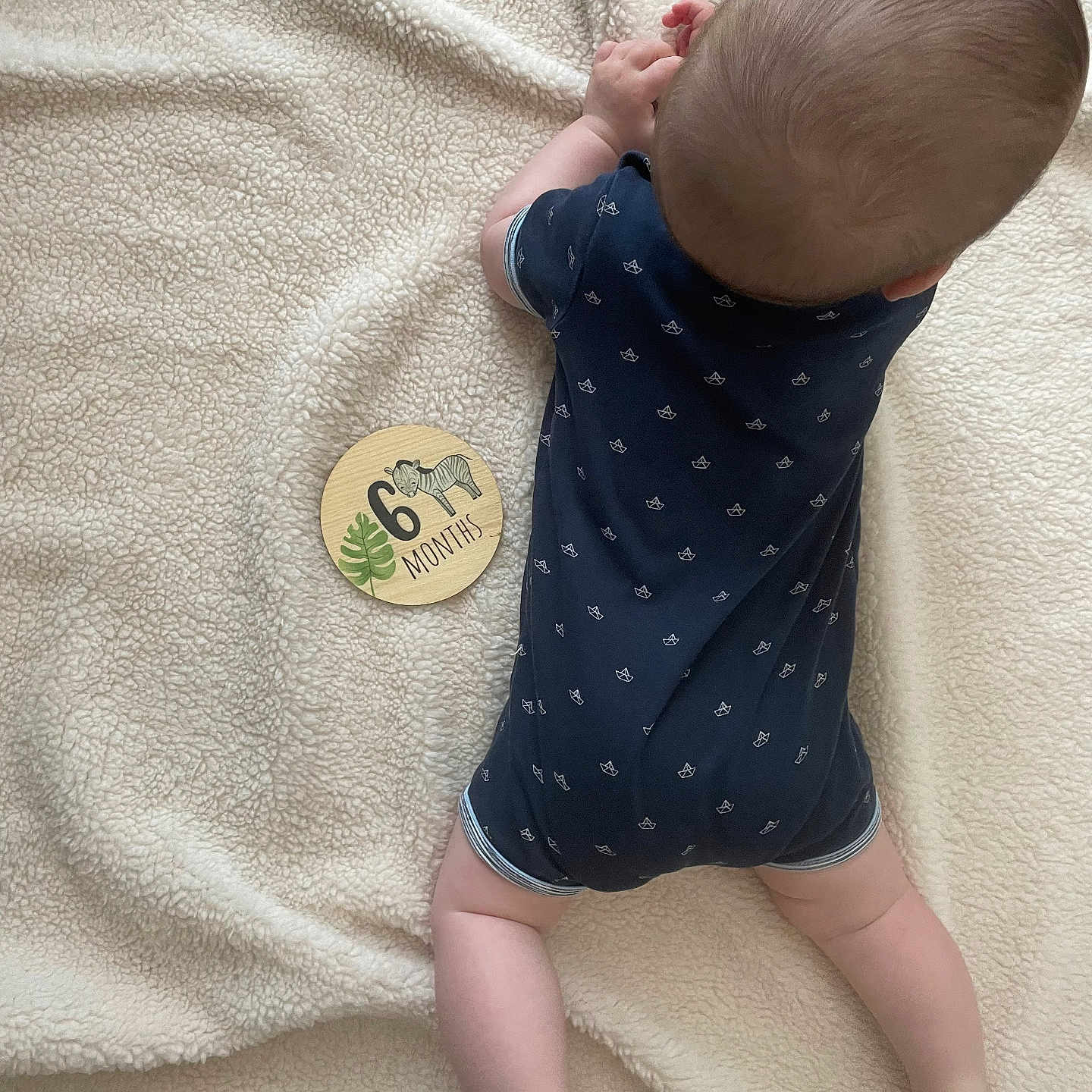 Léo participe au concours pour gagner de l'argent avec cette photo : 6_months, baby, baby_clothes, baby_pose, back_view, blanket, chubby_legs, head, indoors, infant, lying_down, milestone, milestone_marker, navy_blue, onesie, patterned_clothing, skin, soft_texture, wooden_sign, zebra_illustration