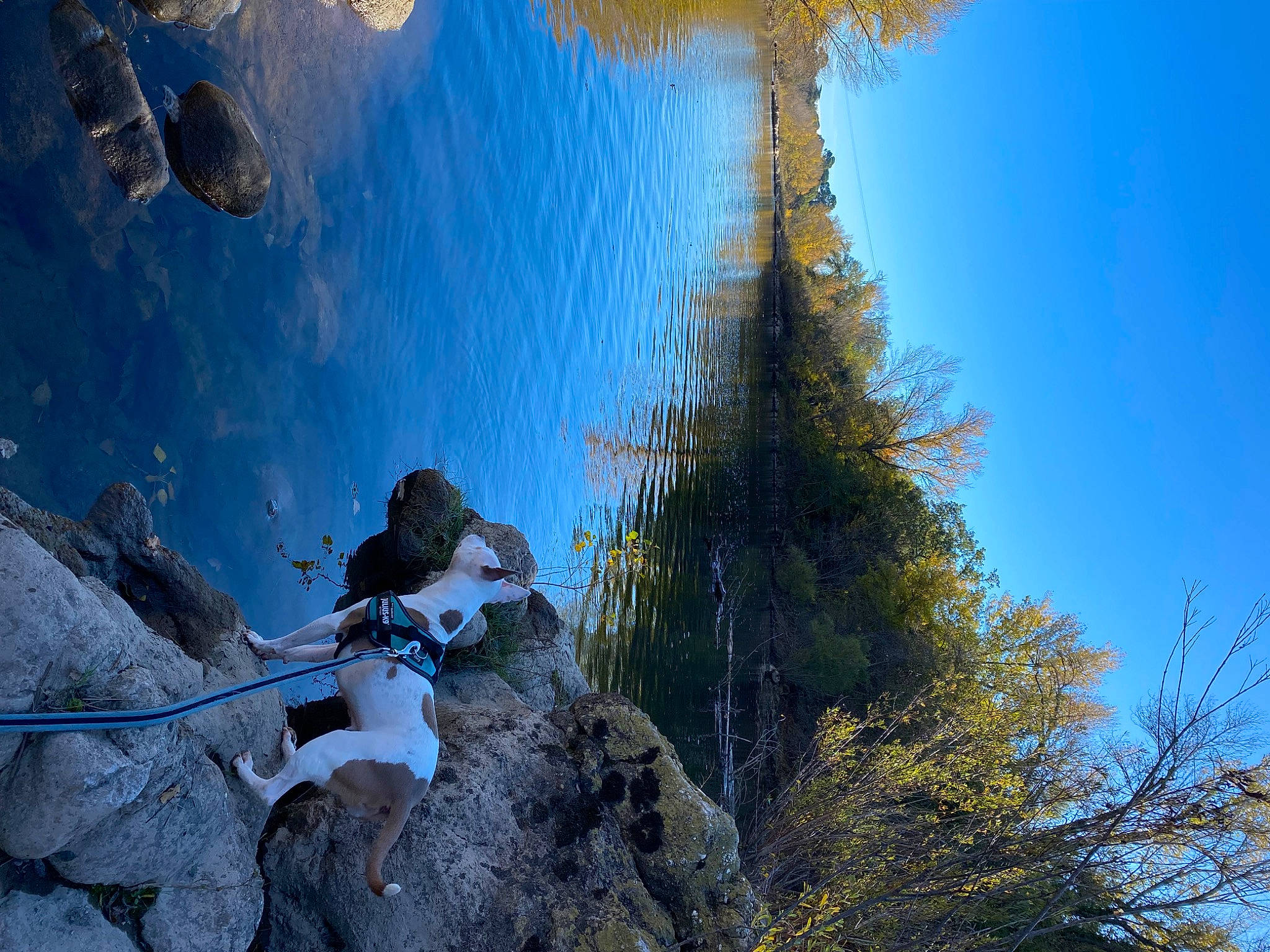 Mara participe au concours pour gagner de l'argent avec cette photo : azure, beauty, bedrock, climbing, electric_blue, formation, helmet, klippe, leisure, mountain, mountaineer, nature, recreation, rock_climbing_equipment, sky, sport_climbing, terrain, tree, water, wilderness