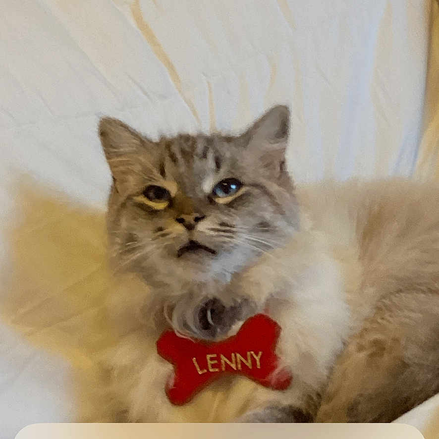 Lenny