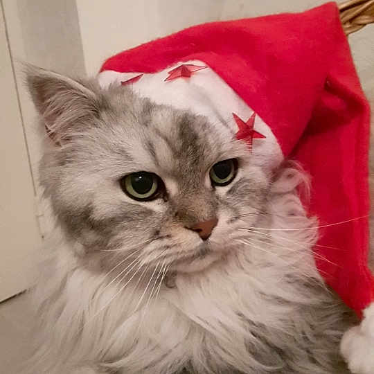 Syska