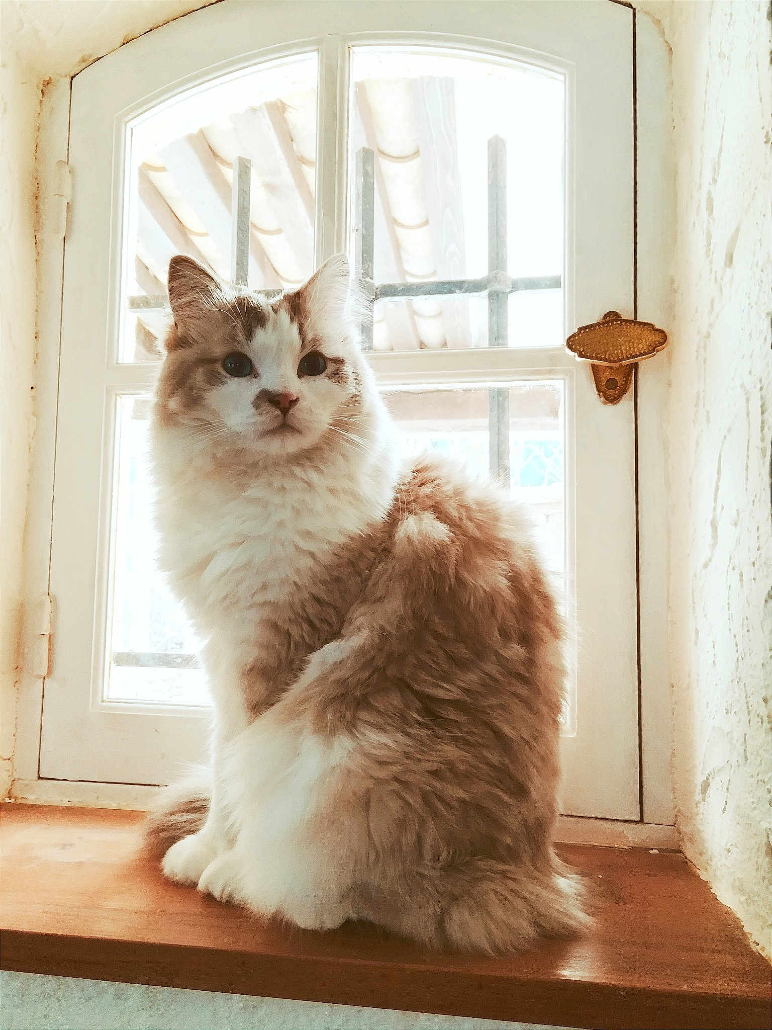 Oz'