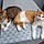 Caramel-Meetic