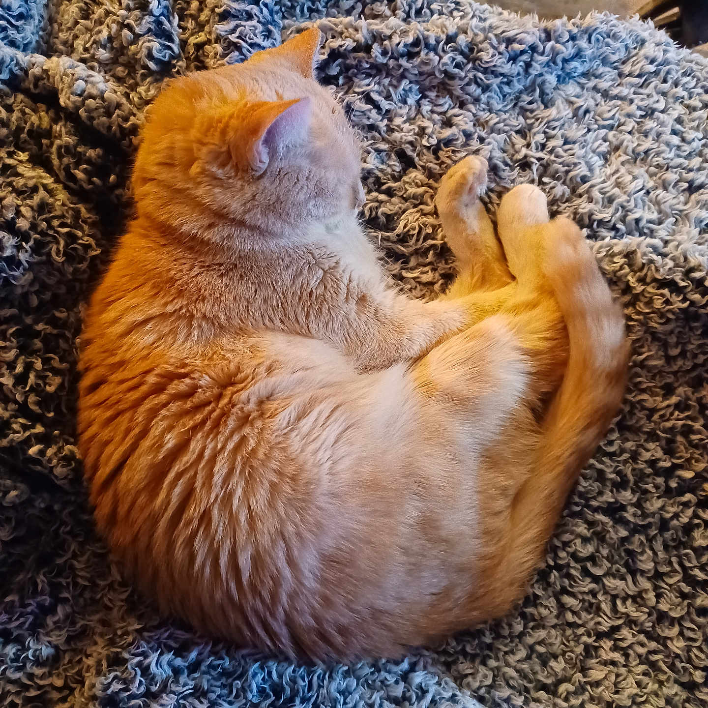 Toffee