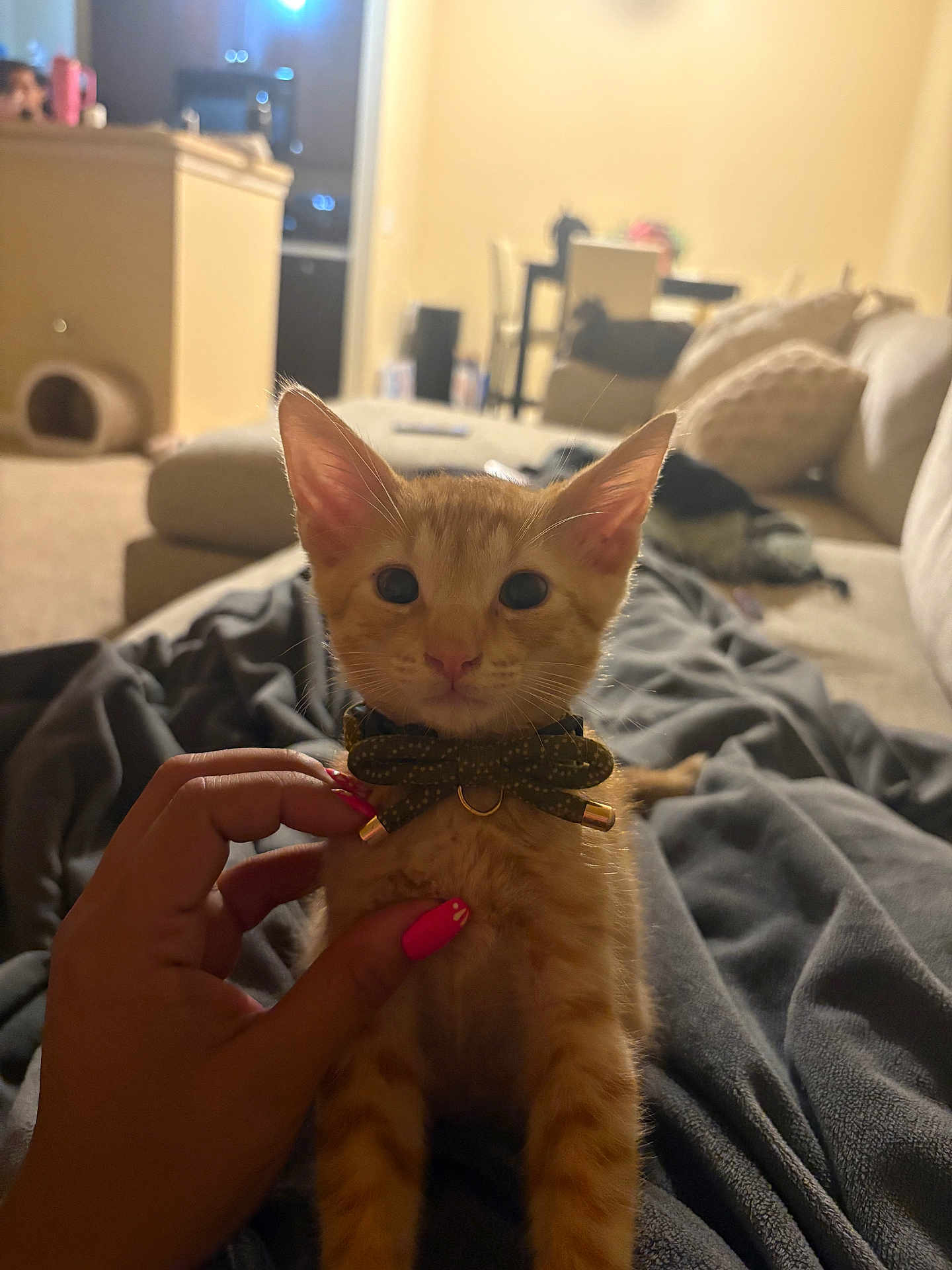 Cheeto