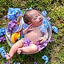 Joon is registered to the contest to win money with this photo: baby, backyard, bathing, face, flower, grass, head, nature, newborn, outdoors, park, person, petal, photography, plant, portrait, pottedplant, purple, summer, yard