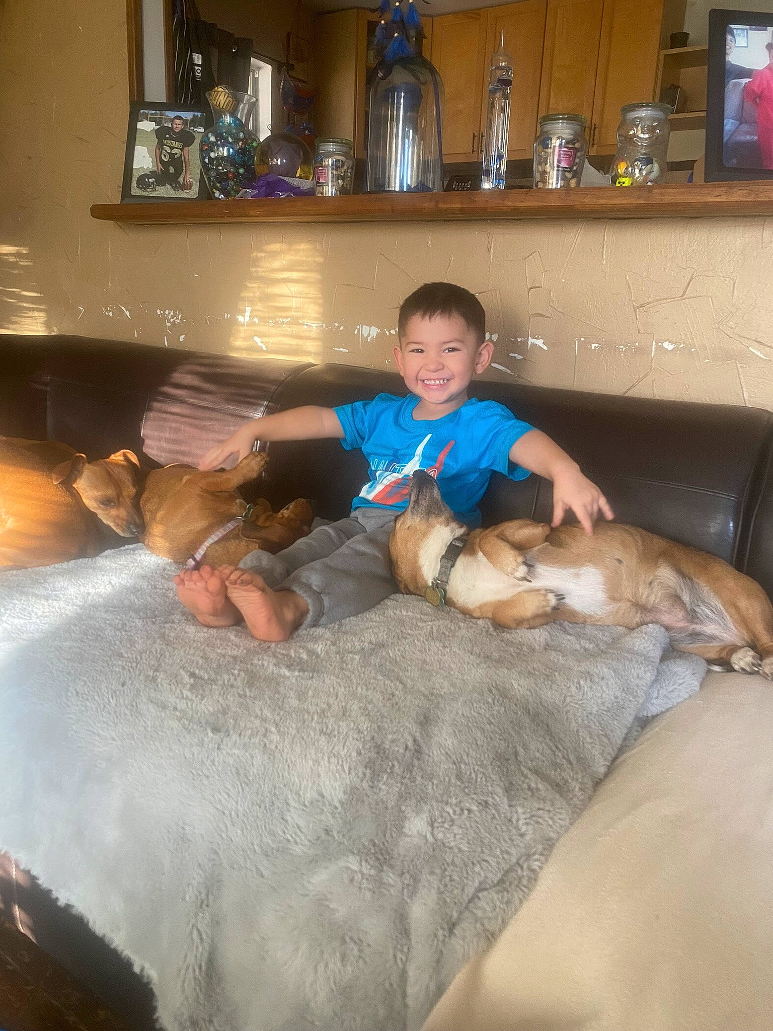 Noah is registered to the contest to win money with this photo: child, comfort, companion_dog, couch, flooring, fun, hardwood, houseplant, interaction, joy, lap, leisure, linens, living_room, person, picture_frame, room, shelf, sitting, smile