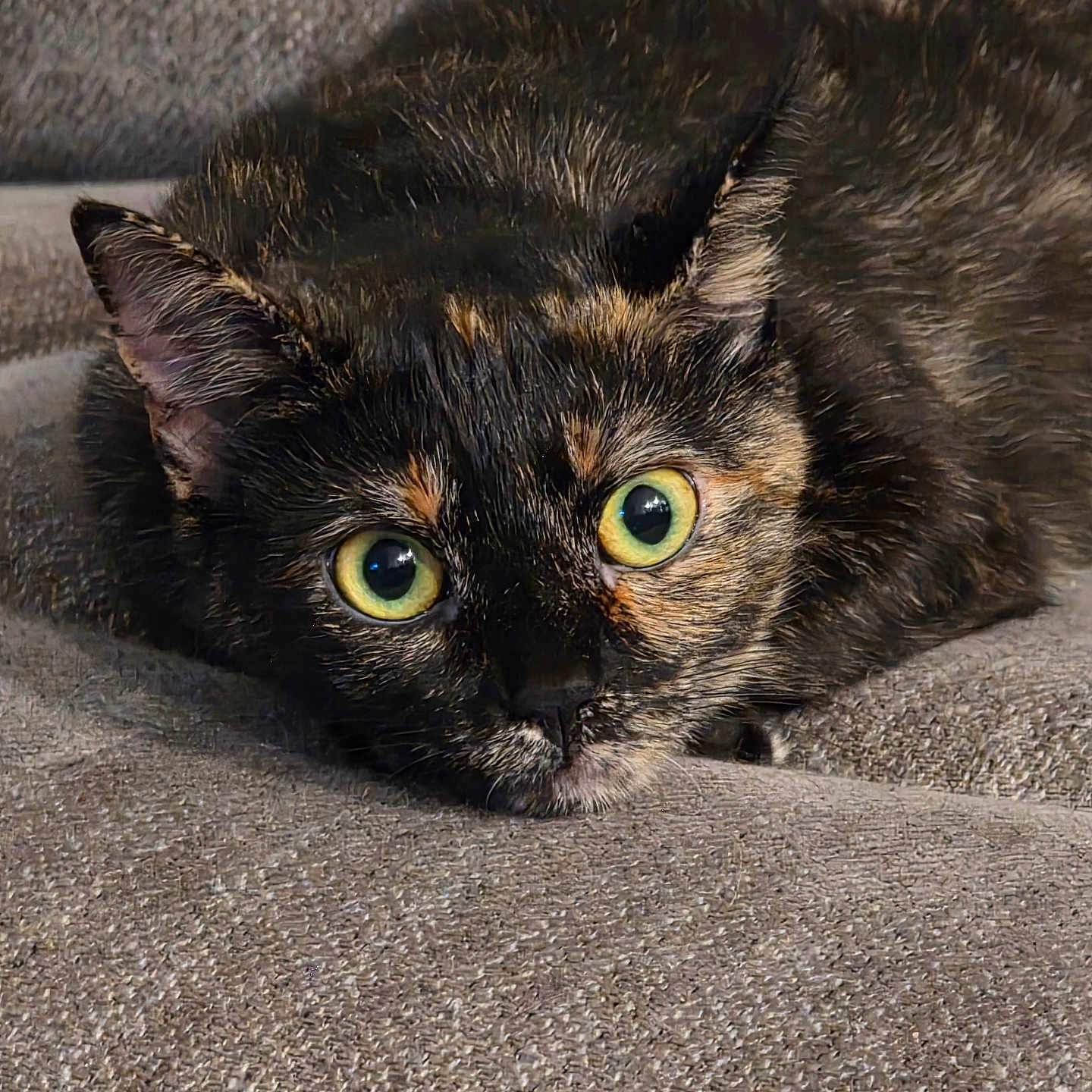 Luna