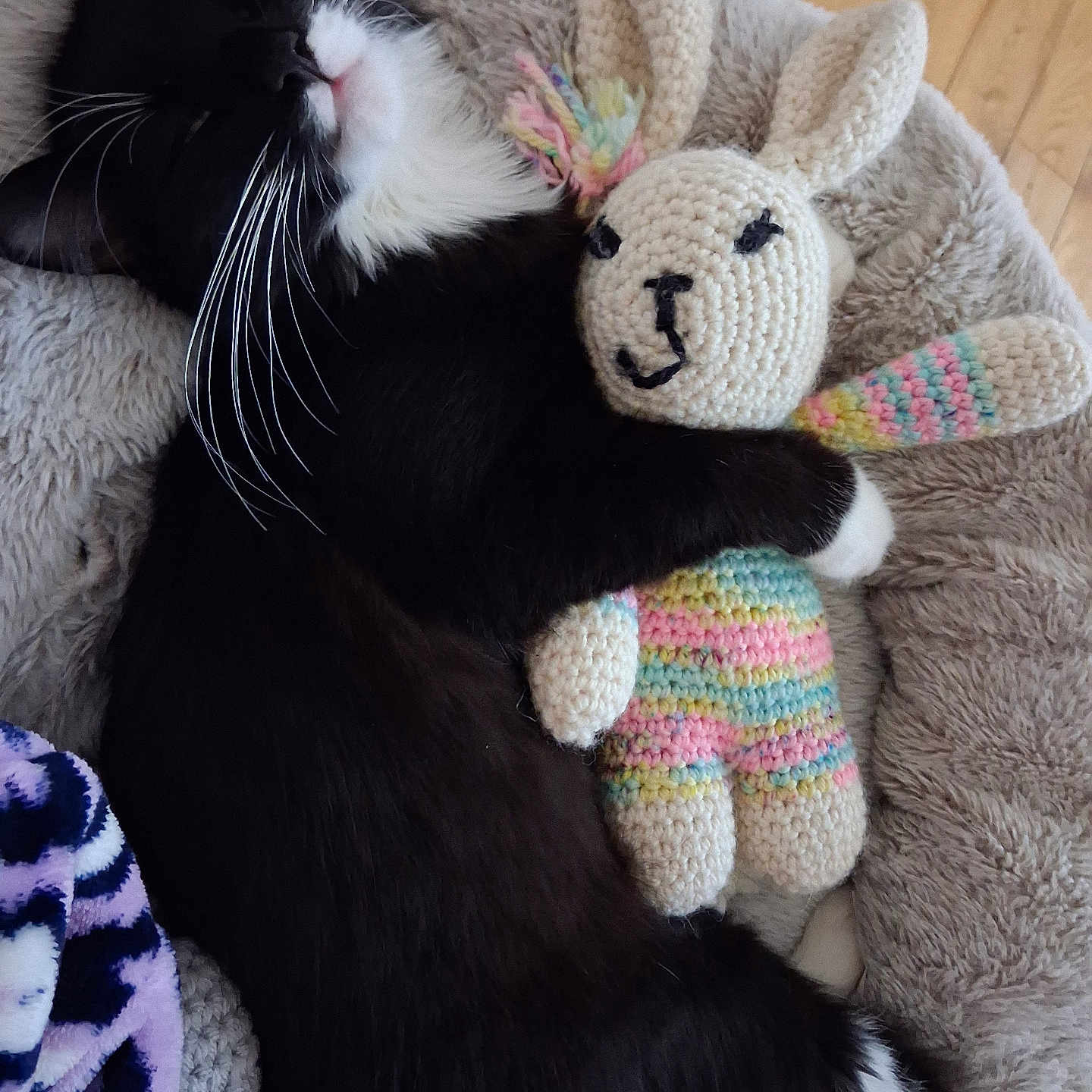 Oreo joined the competition — help win amazing prizes! animal, bed, black_and_white, bunny, cat, cozy, crocheted_toy, cute, feline, fluffy, indoor, pet, relaxing, resting, sleeping, soft, stuffed_animal, toy, whiskers, wooden_floor