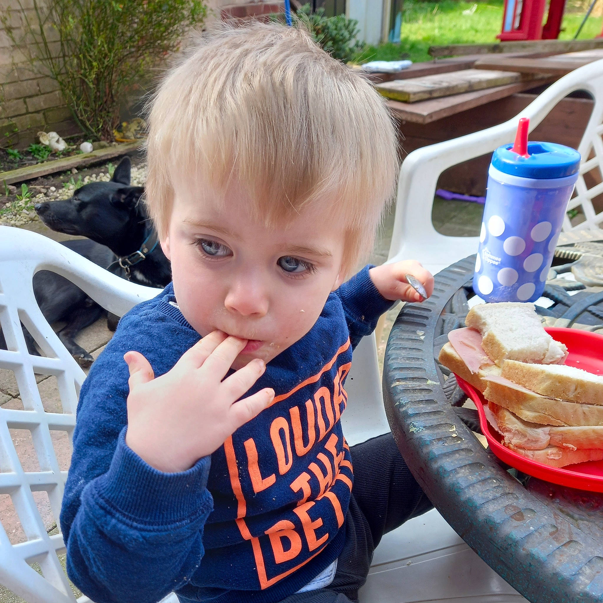 Luke joined the competition — help win amazing prizes! baby_toddler_clothing, chair, child, comfort_food, electric_blue, finger, food, fun, grass, happy, junk_food, leisure, person, plant, play, recreation, sharing, sitting, t_shirt, toddler