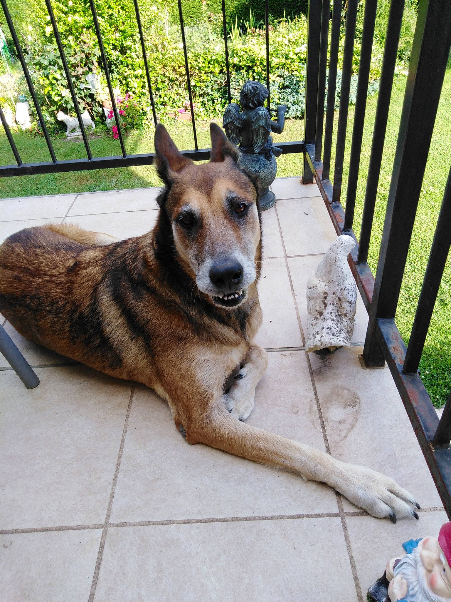 Clea participe au concours pour gagner de l'argent avec cette photo :