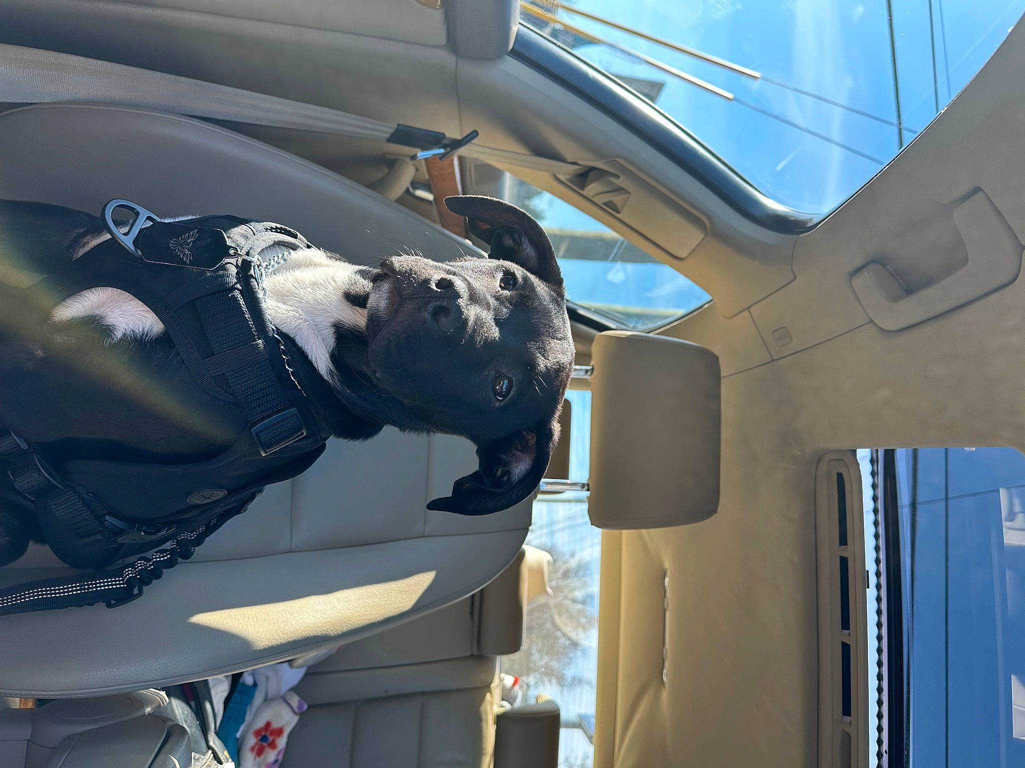 Pepper is registered to the contest to win money with this photo: aerospace_engineering, aerospace_manufacturer, air_travel, aircraft, auto_part, automotive_design, automotive_exterior, automotive_lighting, automotive_window_part, aviation, cockpit, glass, hood, mode_of_transport, motor_vehicle, personal_luxury_car, vehicle, vehicle_door, window, windshield