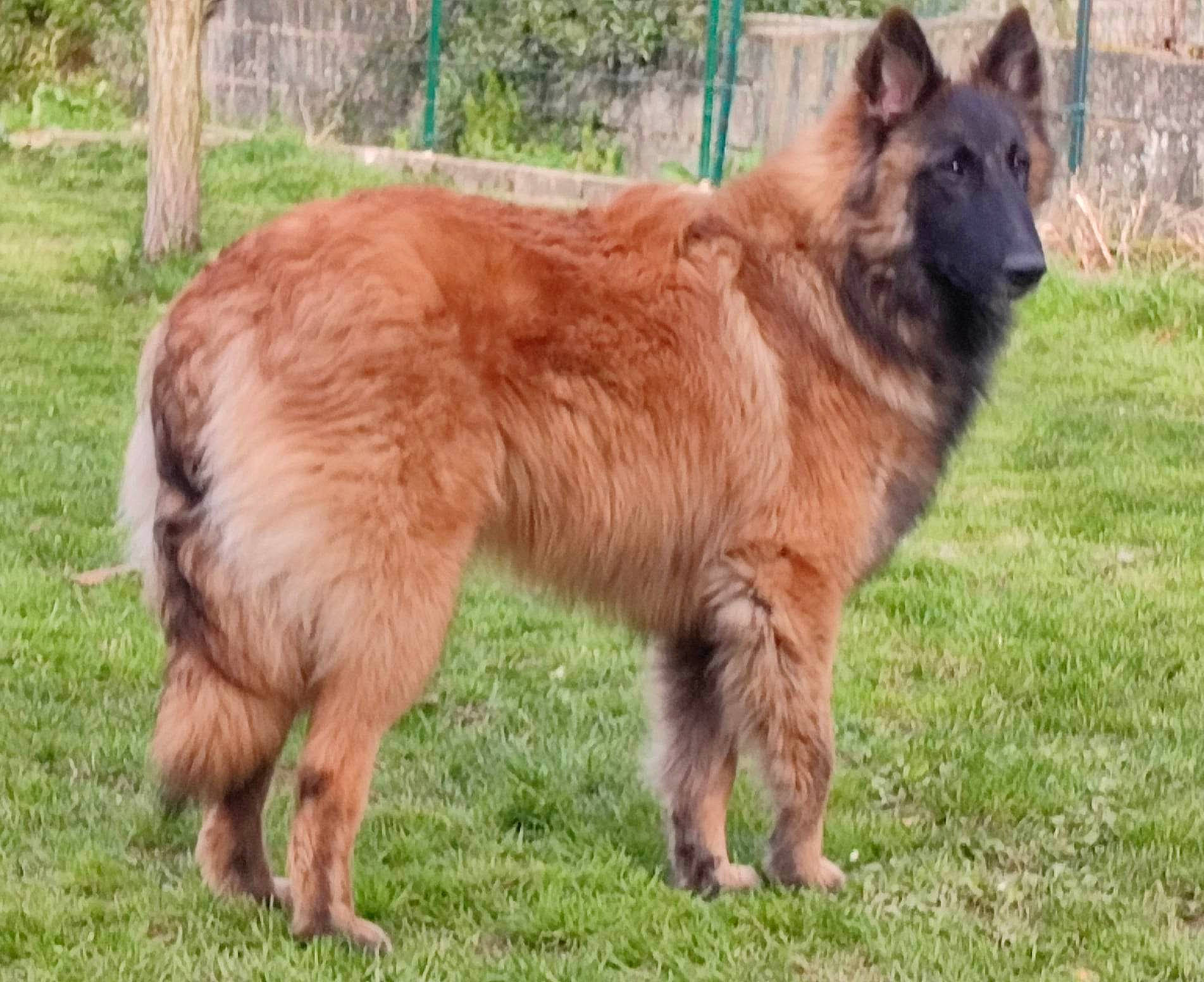 Spirit Of Saint Louis