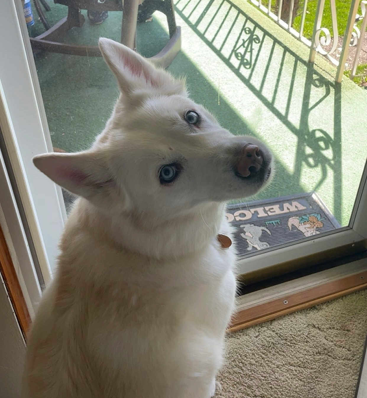 Koda