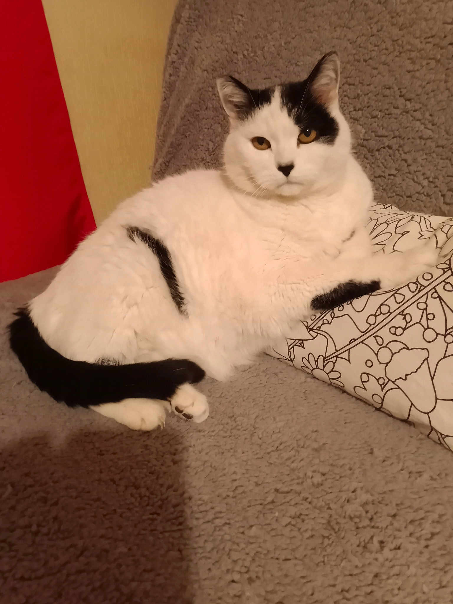 Chipie