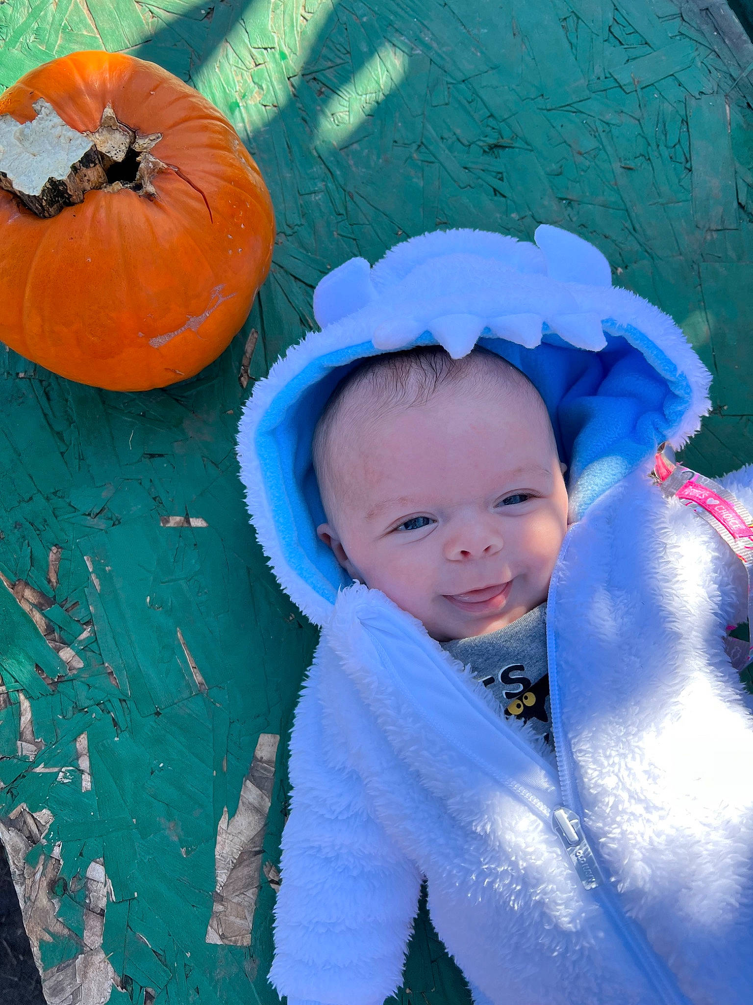 Caroline joined the competition — help win amazing prizes! azure, baby, baby_toddler_clothing, calabaza, child, cucurbita, electric_blue, eye, fun, gourd, grass, happy, leaf, people_in_nature, person, pumpkin, squash, toddler, vegetable, winter_squash