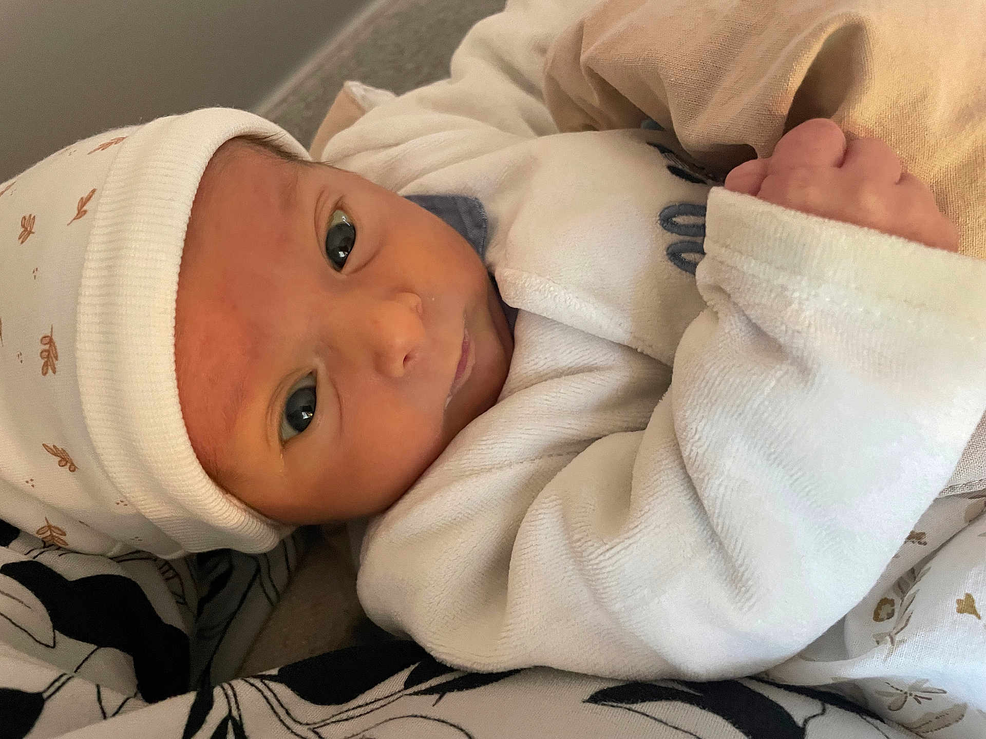 élio participe au concours pour gagner de l'argent avec cette photo : newborn, baby, infant, hat, white_clothing, blanket, face, hand, sleepwear, cute, portrait, indoors, soft_texture, resting, small, human, skin, eyes, wrapped, cozy