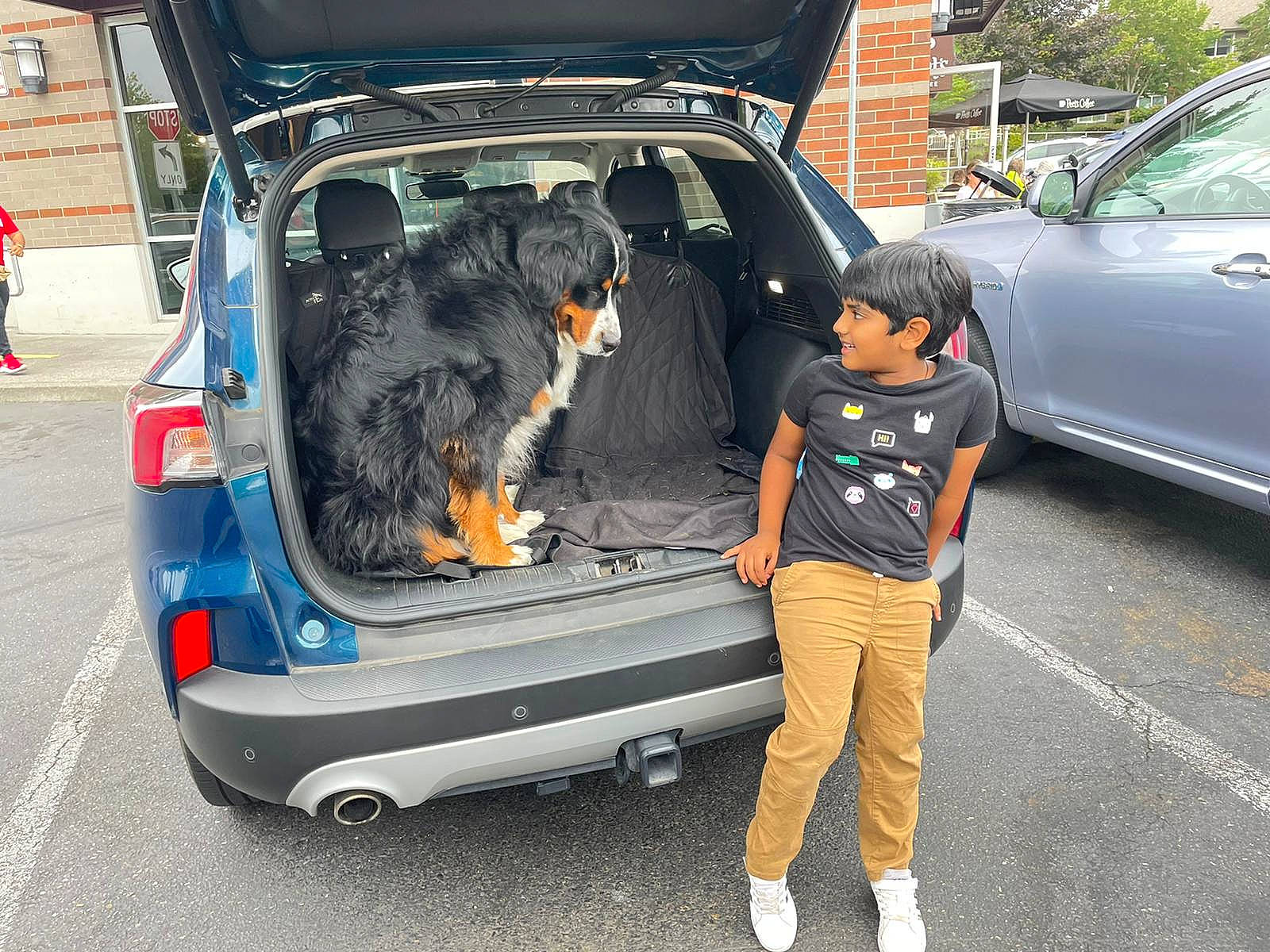 Vivaan is registered to the contest to win money with this photo: auto_part, automotive_design, automotive_exterior, automotive_lighting, automotive_tail_brake_light, automotive_tire, bumper, car, carnivore, dog, fender, gas, joy, land_vehicle, mode_of_transport, motor_vehicle, person, tire, trunk, vehicle