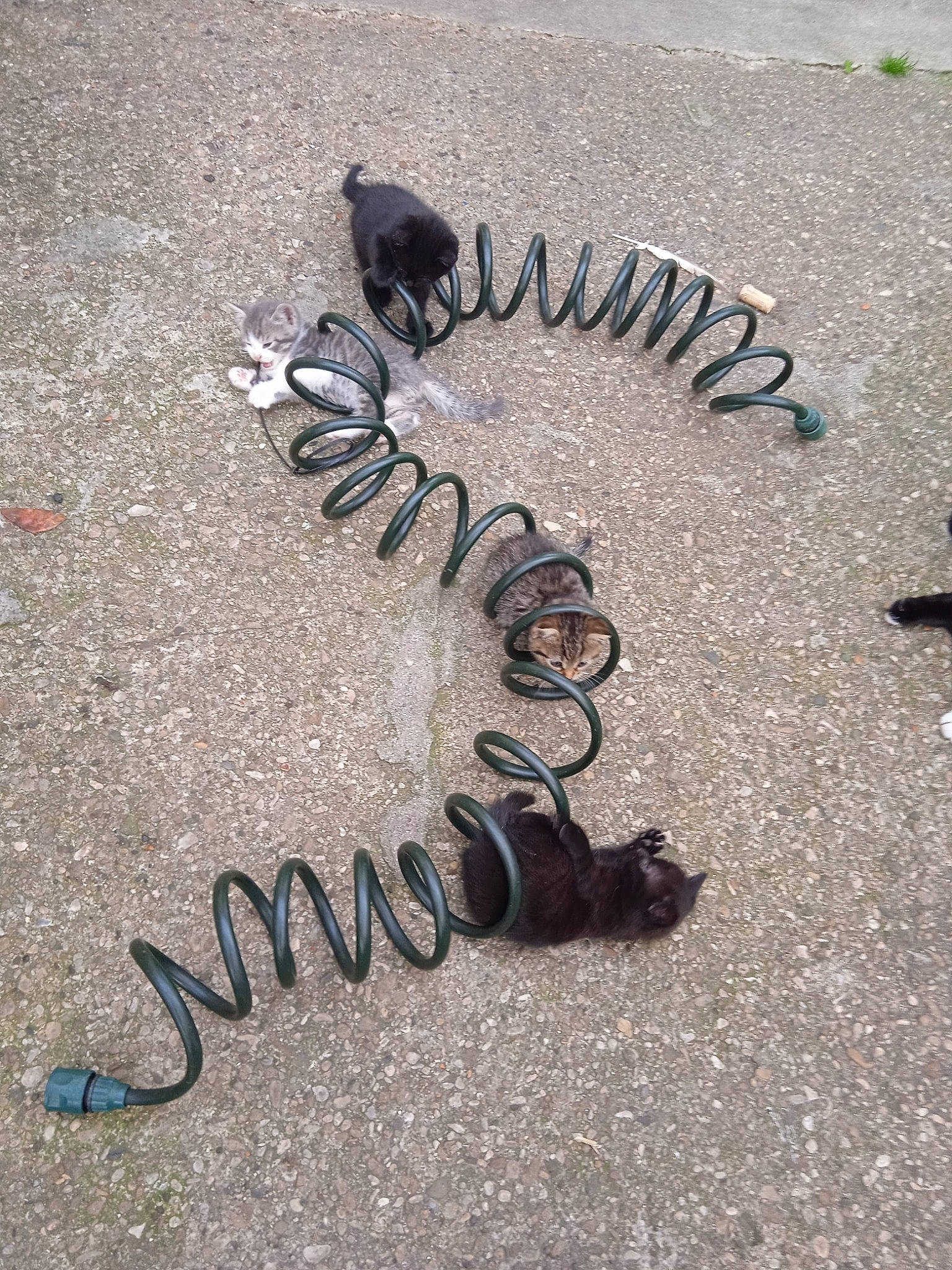 Berlioz Et Dana participe au concours pour gagner de l'argent avec cette photo : art, asphalt, automotive_tire, circle, city, concrete, flooring, font, grass, handwriting, landscape, road_surface, rock, sand, shadow, sidewalk, soil, street, tar, wood