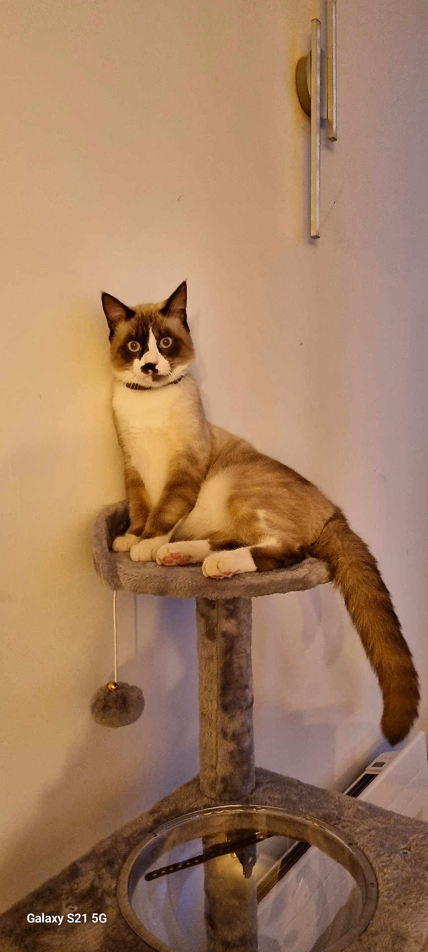 Caramel