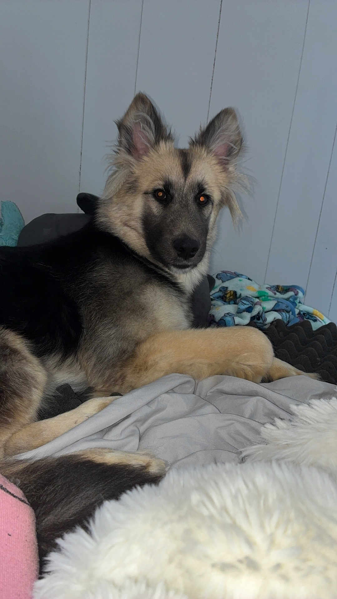 Luna