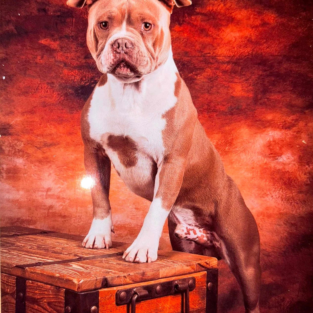 Thor